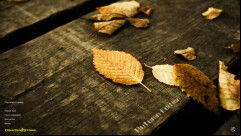  CS 1.6 Autumn Build - Enhanced Version